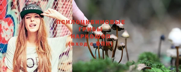 бошки Киренск
